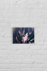 a black and white photo of a tree on a brick wall